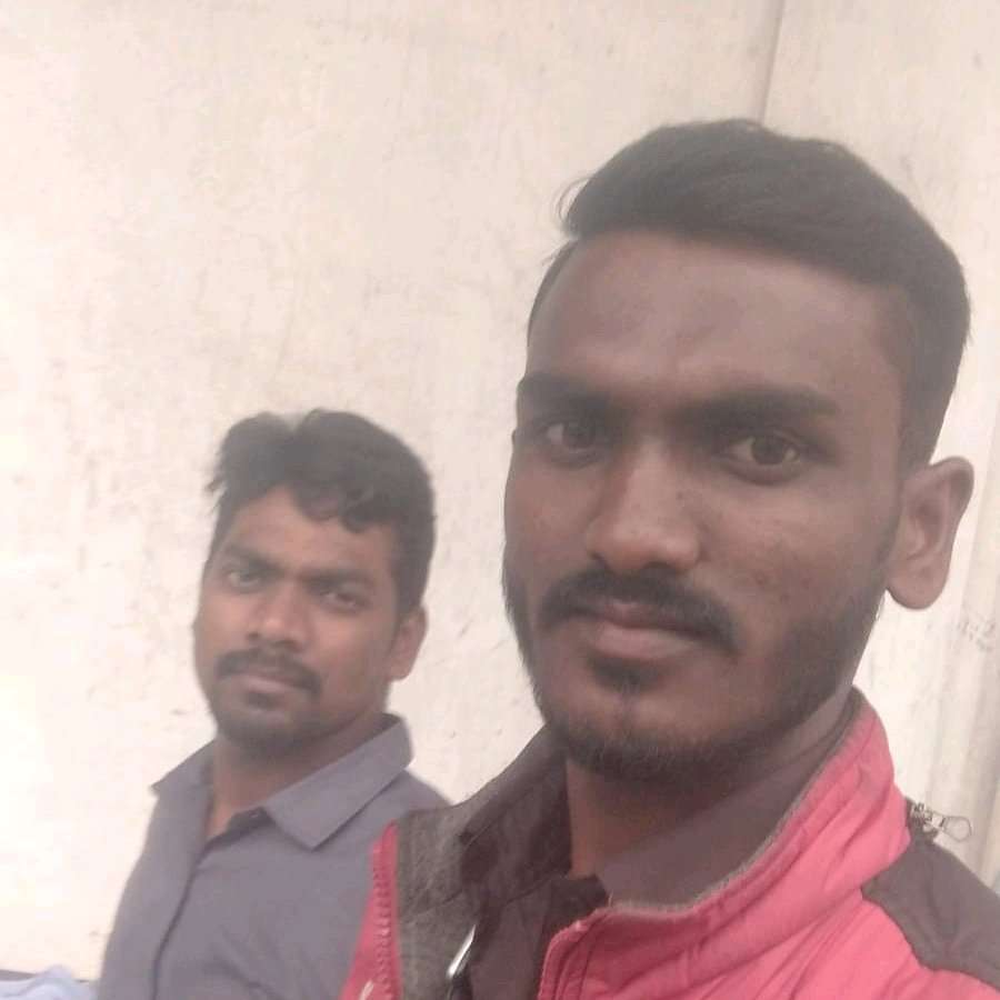 74869234 3681 medium large