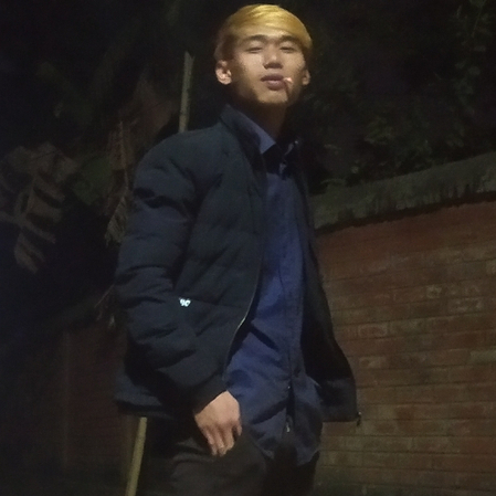 51528586 8276