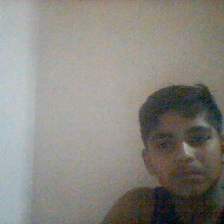 82498861 2495 medium large