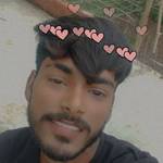 Nitish Raj's photo