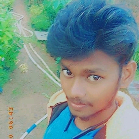 43985320 313