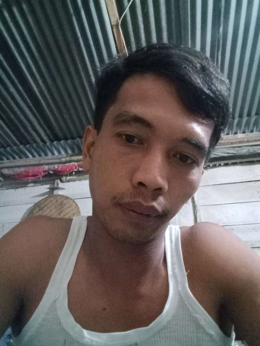 75376914 4221 medium large