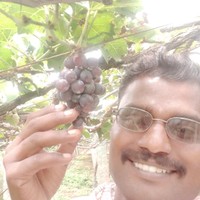 Bala madurai's photo