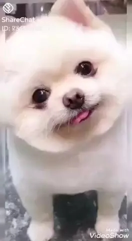 47726109 538