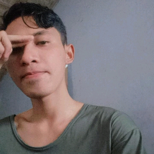 55637815 8613