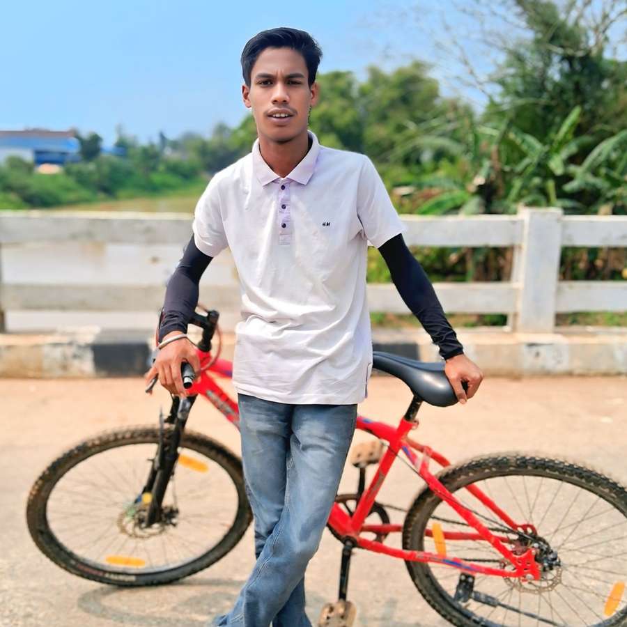 86329139 1393 medium large