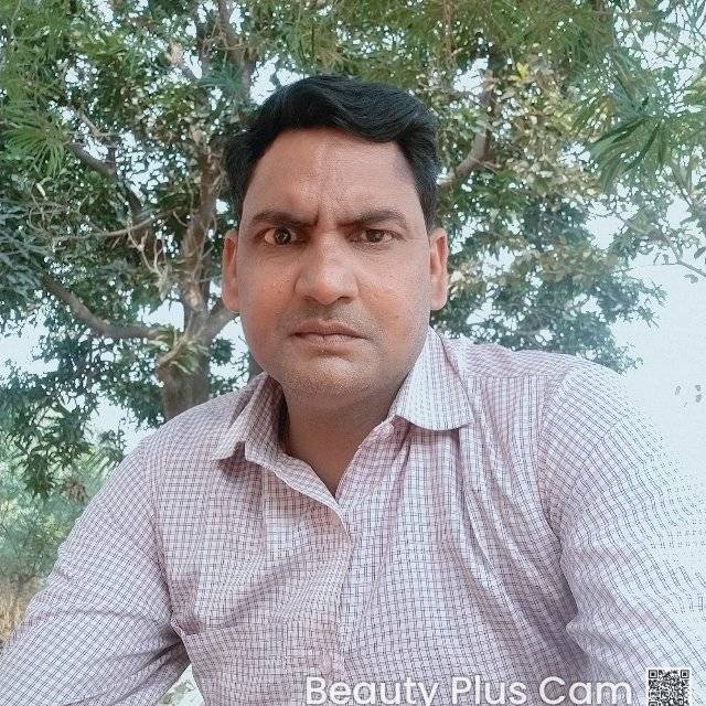 76929318 2466 medium large