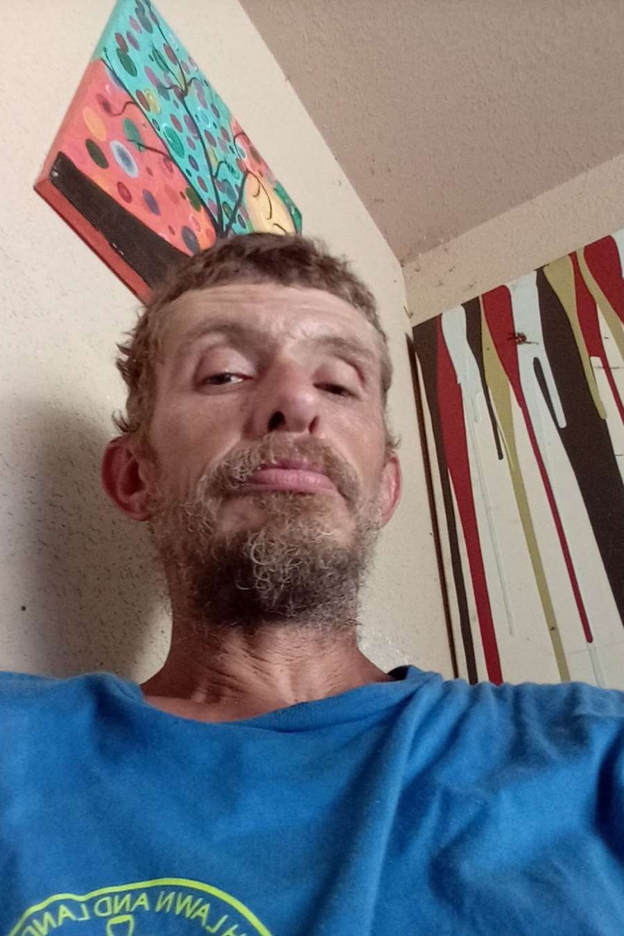 88601681 2891 medium large