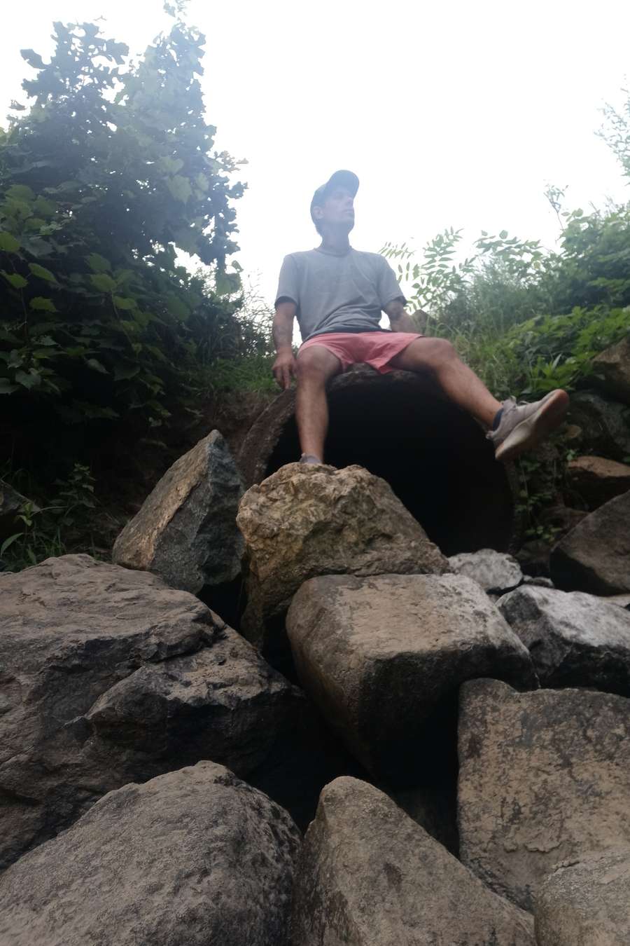 93116208 3953 medium large