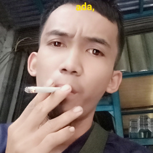 48238122 7976