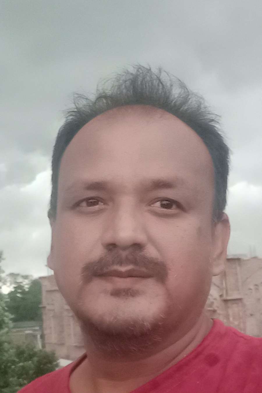 87882731 3589 medium large