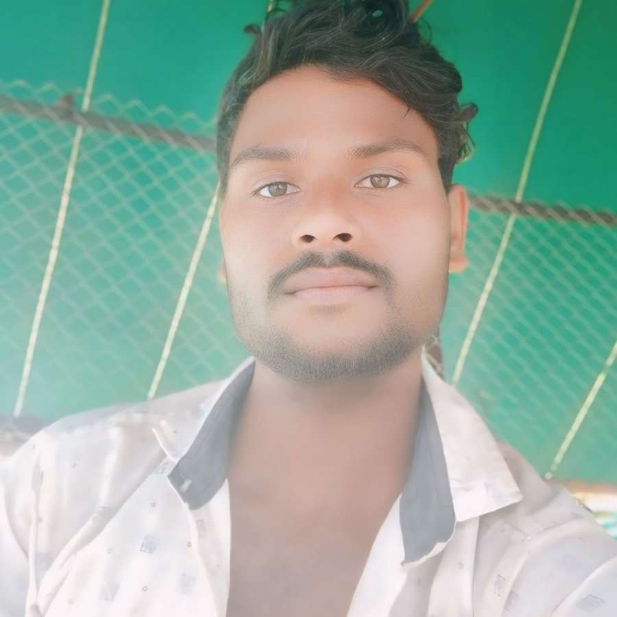 82034253 637 medium large