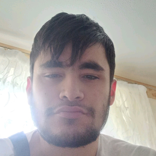 67331455 3589