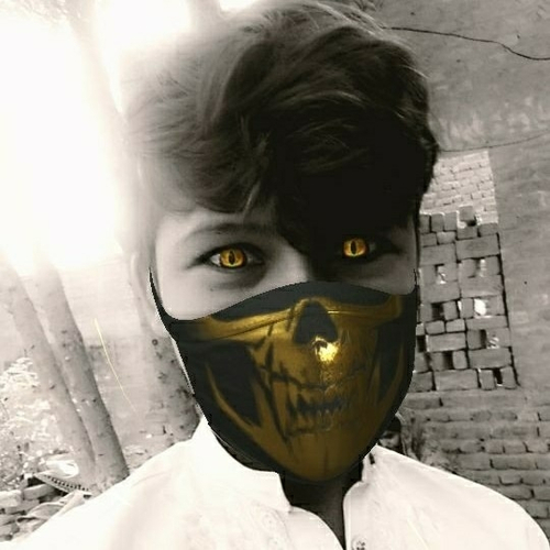 48226933 3062