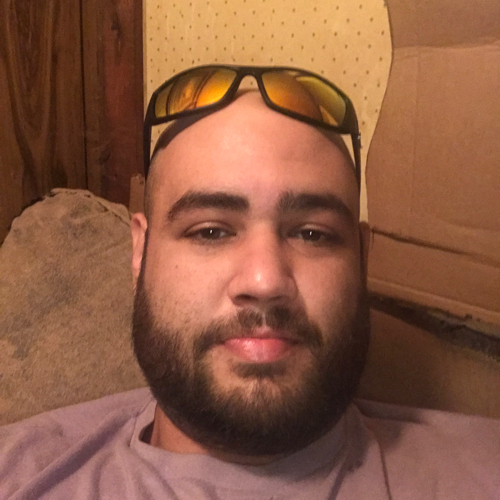 44667841 6598