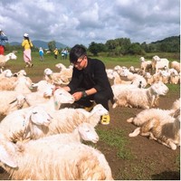 Anh Tuan Nguyen's photo