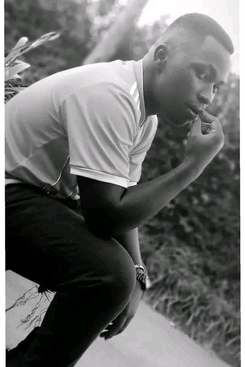 88614272 1293 medium large