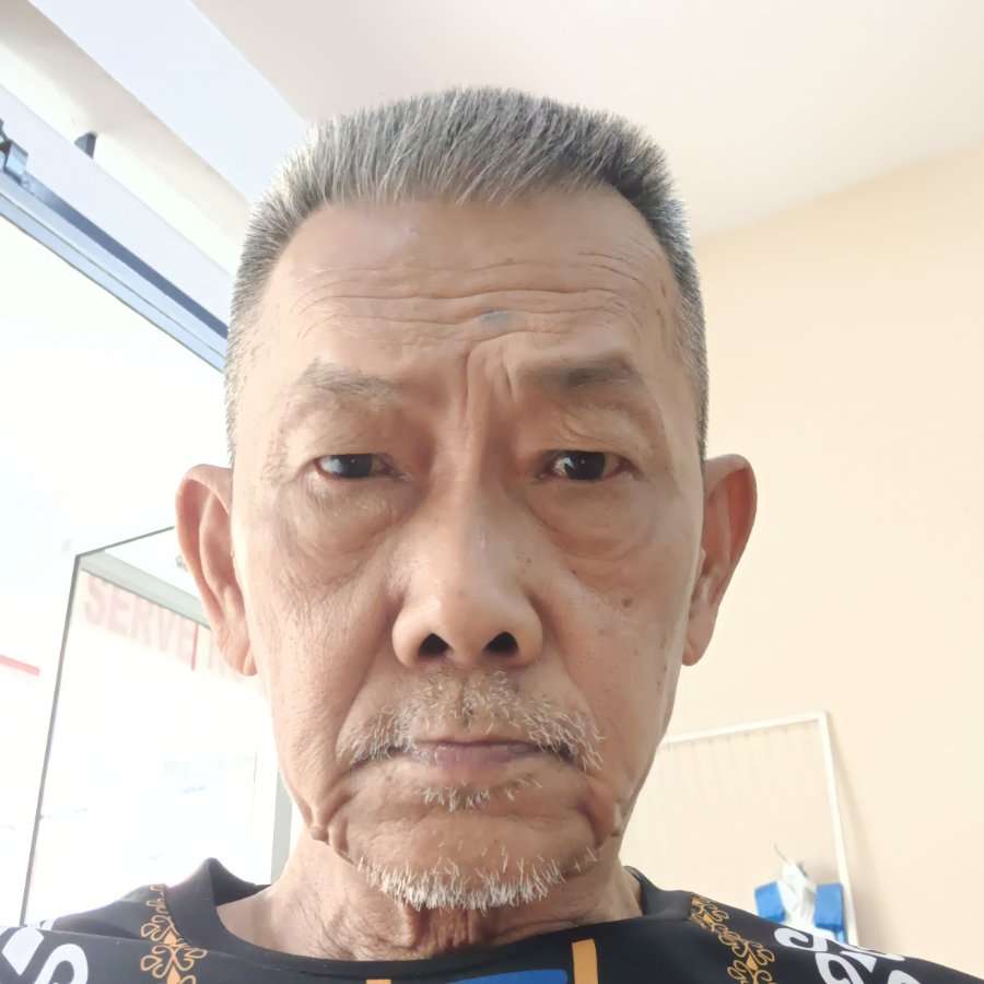 81345641 7256 medium large