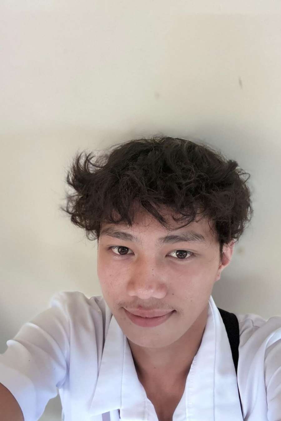 88977366 6526 medium large