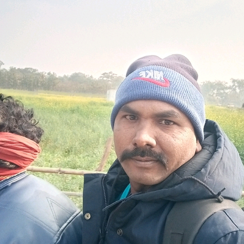 66856161 7564