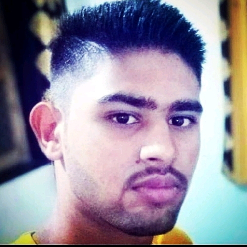 55787579 320