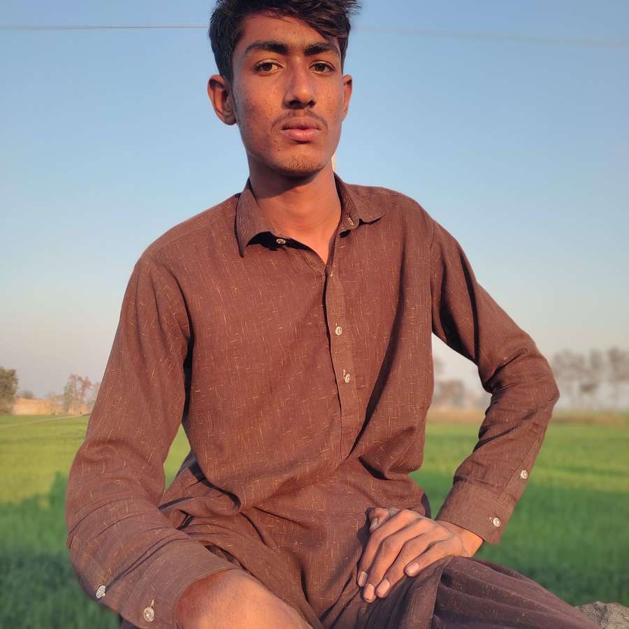 83288402 8574 medium large