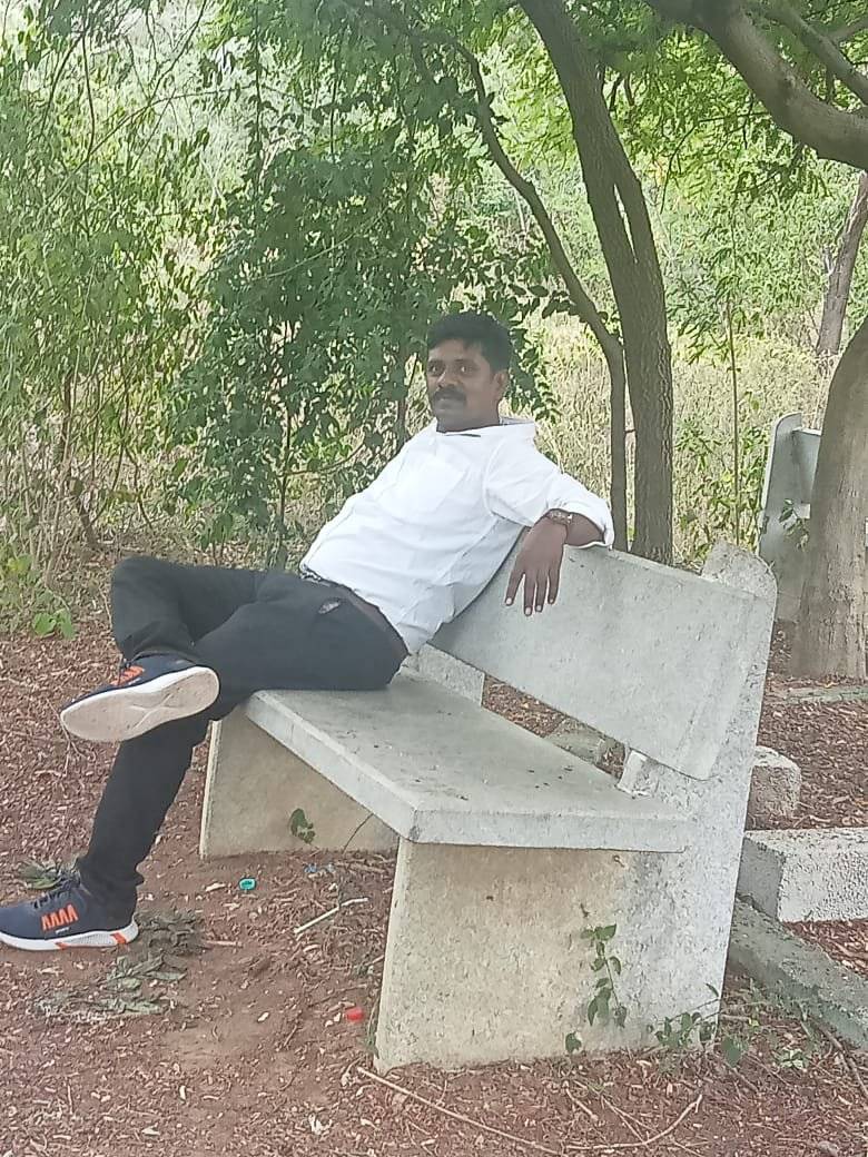 83662465 6246 medium large