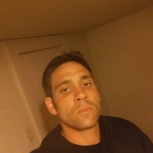 33447283 3608
