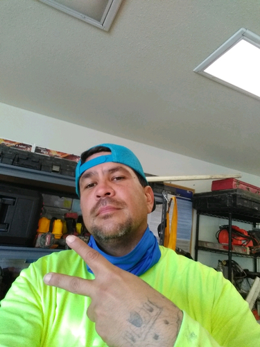 51341307 1177
