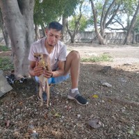 Miguel IBARRA 's photo