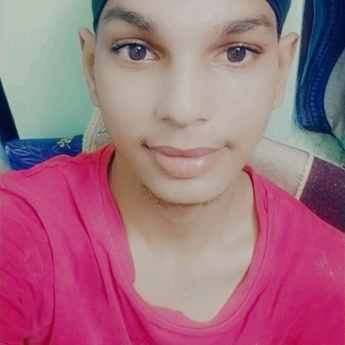 51901900 4231
