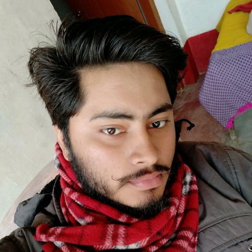 53025548 8219