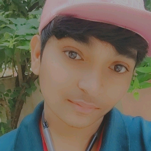 59298536 7777