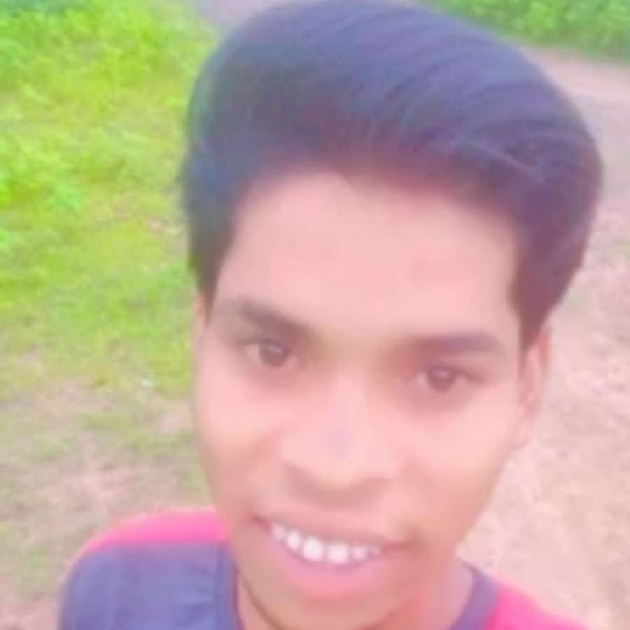 83681867 1764 medium large
