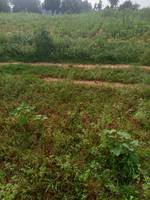 Satyam Prajapati's photo