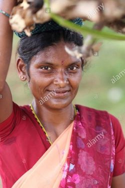 Laxmi 's photo