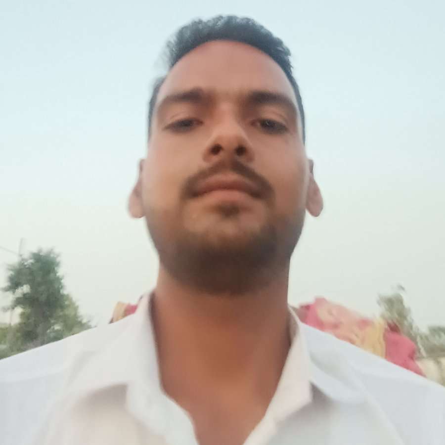 82121915 593 medium large