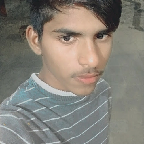 49560032 8074