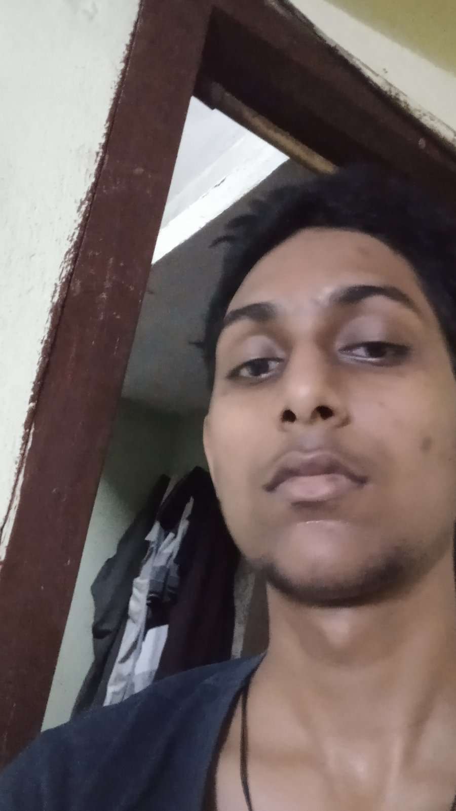 87764942 2830 medium large