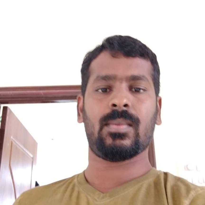 80734366 5696 medium large