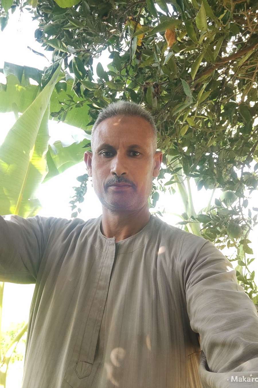 91551815 6346 medium large