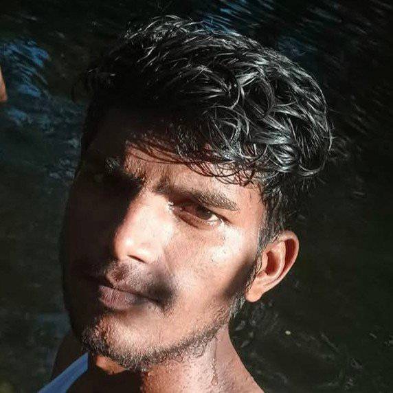 84698435 4559 medium large