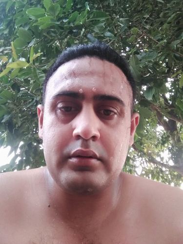 47045337 2645