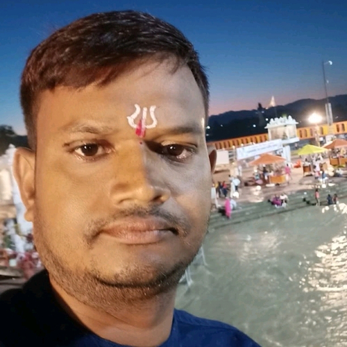 71940317 5295