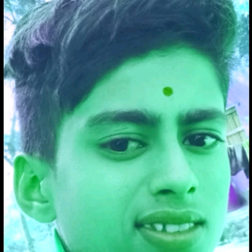 50482448 1885