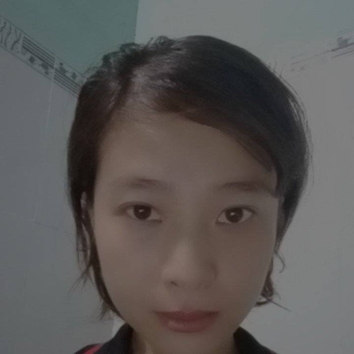 85203504 4044 medium large