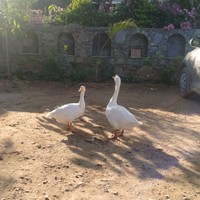 Pankaj bhati's photo