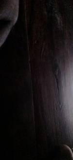 Ankit Kumar 's photo