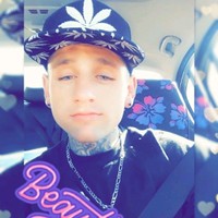 Travis Stevens's photo