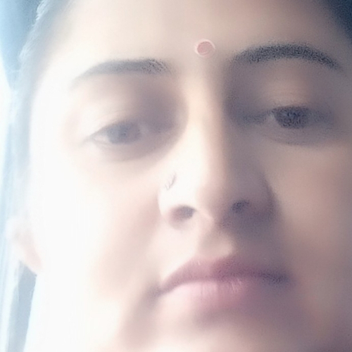 48658787 1580
